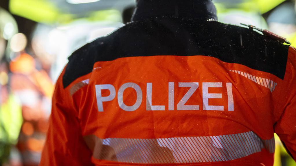 Die Kantonspolizei Zürich verfolgte am frühen Donnerstagmorgen zwei Autodiebe. Einen 19-jährigen Franzosen konnte sie verhaften. (Symbolbild)