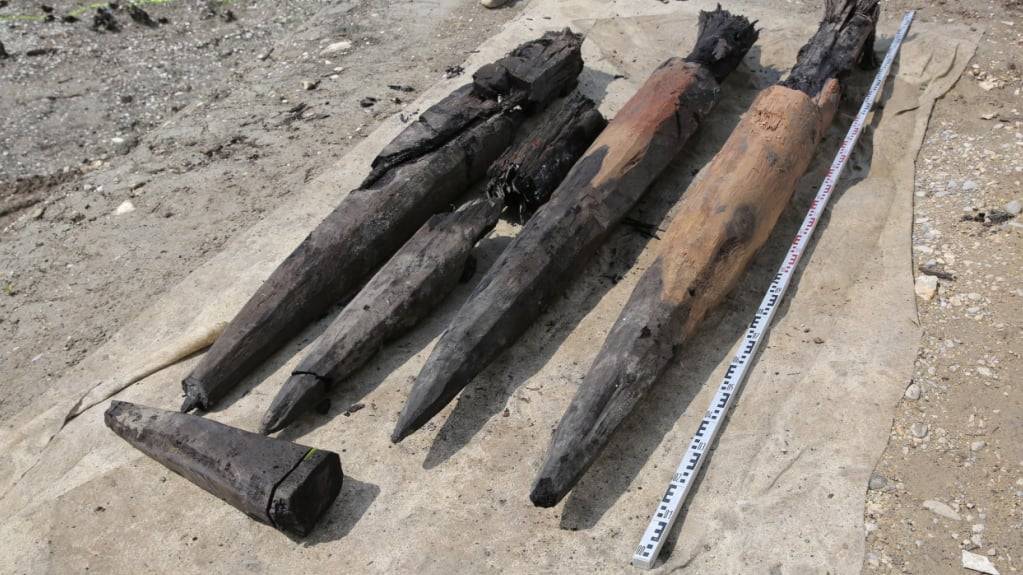 Die Eichenpfähle wurden mit einem Bagger aus dem Sediment gezogen.