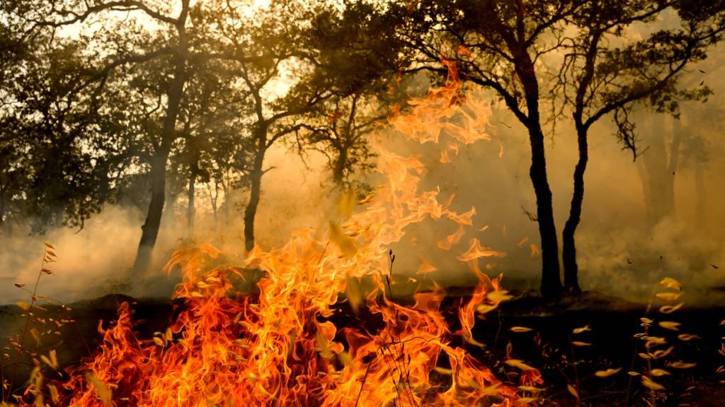 Zehntausende sollen wegen Bränden in Nevada evakuiert werden