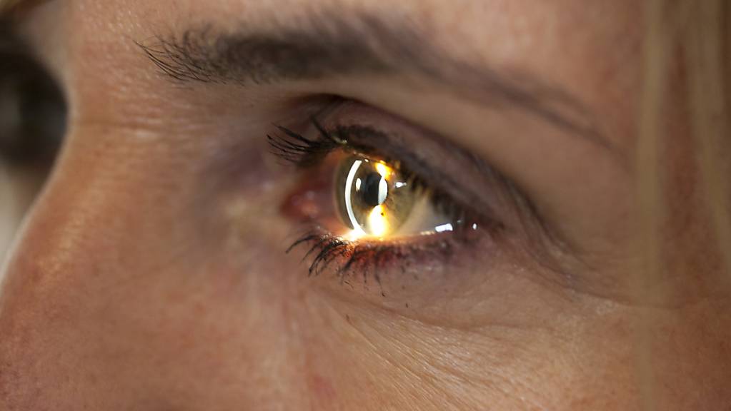 Novartis will mit der Übernahme seine Forschung im Bereich der Augenheilkunde erweitern.