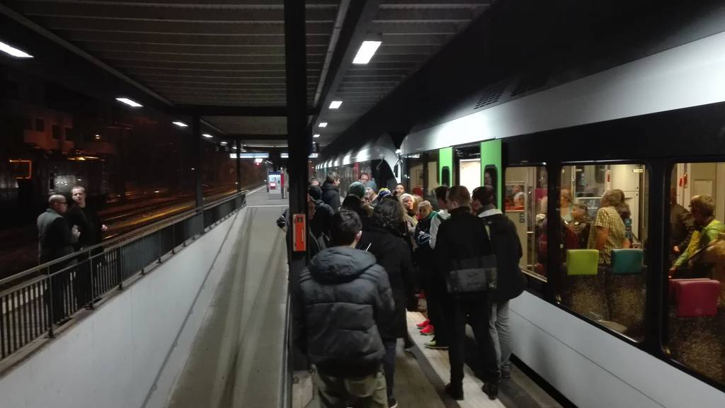 Falsch transportiere Zugspassagiere  von Winterthur nach St.Gallen mussten in  Frauenfeld nach Romanshorn umsteigen.
