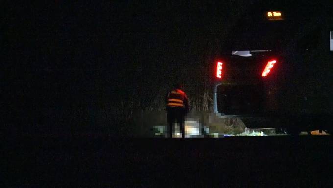 Pferd stirbt nach Zusammenstoss mit Zug in Lauperswil