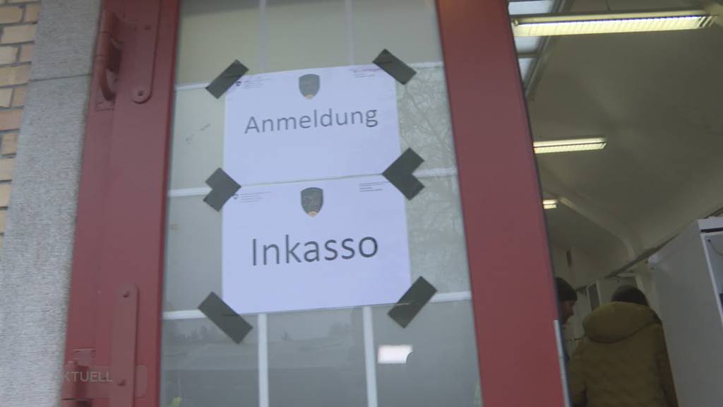 Neues Leben: 32 Pferde vom Horror-Hof Ramiswil wurden versteigert
