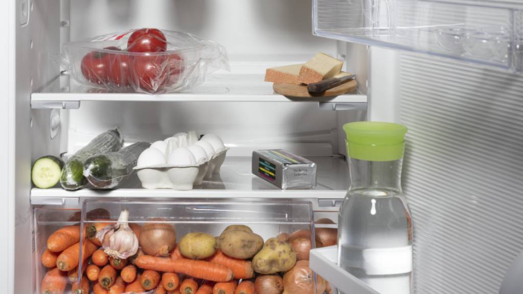 Die EWL unterstützt Personen und Unternehmen im Kanton Luzern, die einen neuen, energieeffizienteren Kühlschrank kaufen mit bis zu 100 Franken. (Symbolbild)