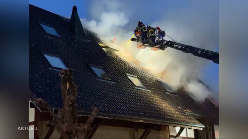 Vollbrand: Weil die Hunde Alarm schlugen, konnte sich eine Grossfamilie retten