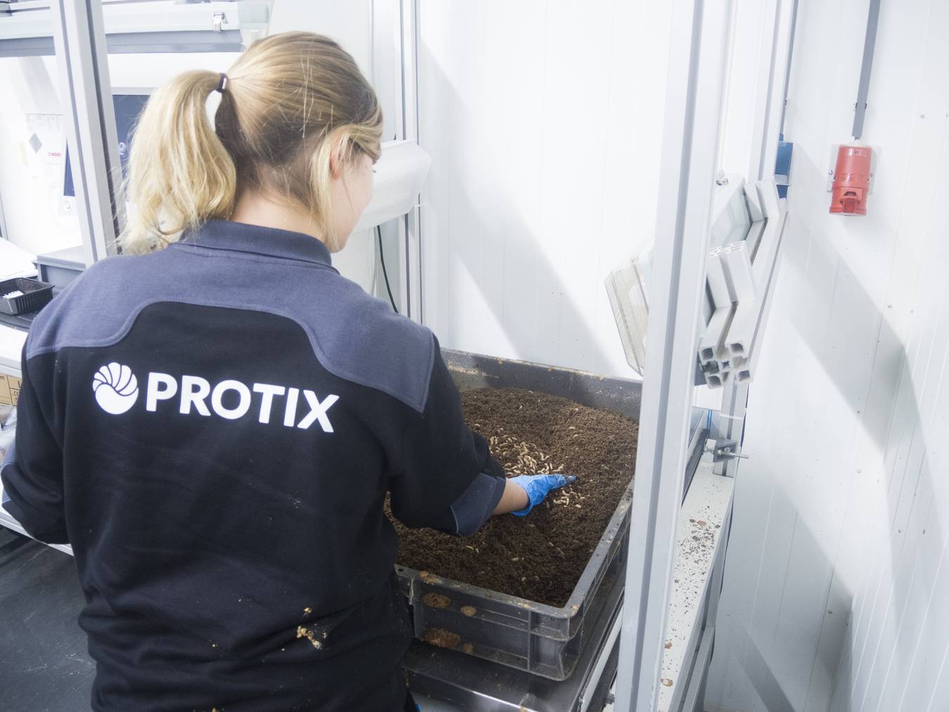 Die Firma Protix hat jahrelange Erfahrung in der Haltung und Verarbeitung von Insekten. (Bild: zVg)