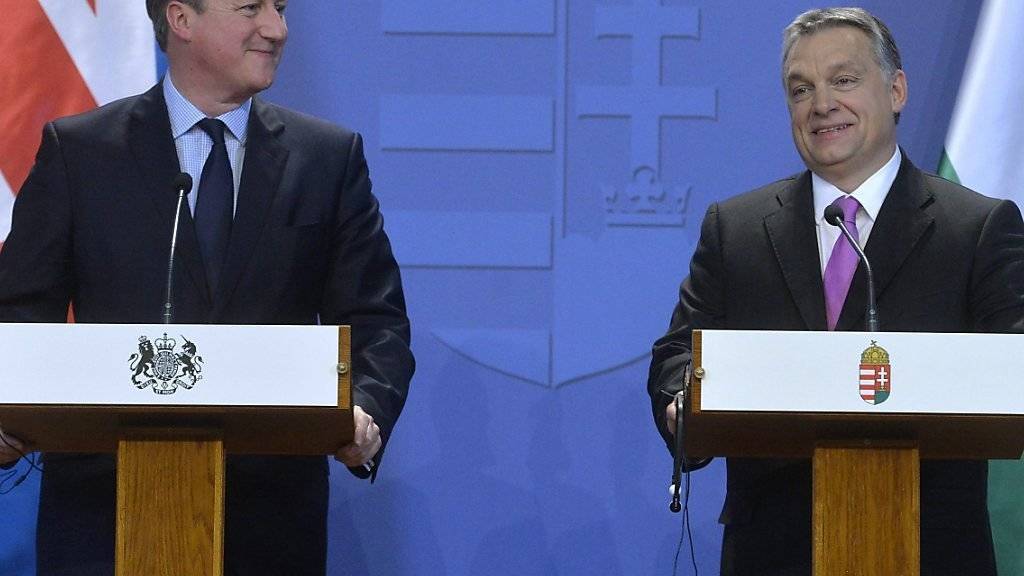 Einig und zufrieden: Der britische Premier David Cameron (l.) und Ungarns Ministerpräsident Viktor Orban.