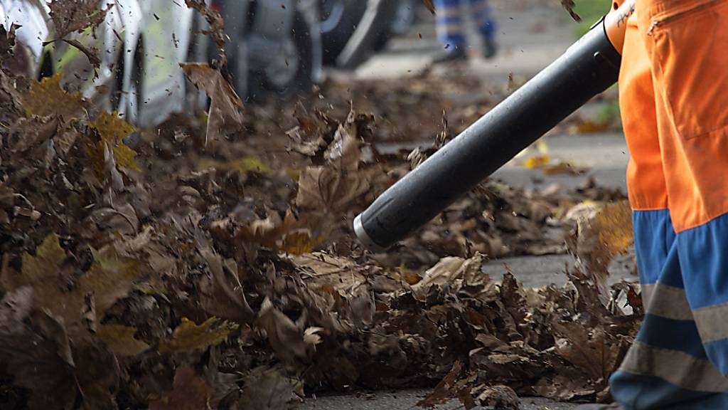 Der nervtötende Lärm von Laubbläsern wird in der Stadt Zürich künftig nur noch von Oktober bis Dezember zu hören sein. In «laubfreien» Monaten werden die Geräte verboten. (Archivbild)