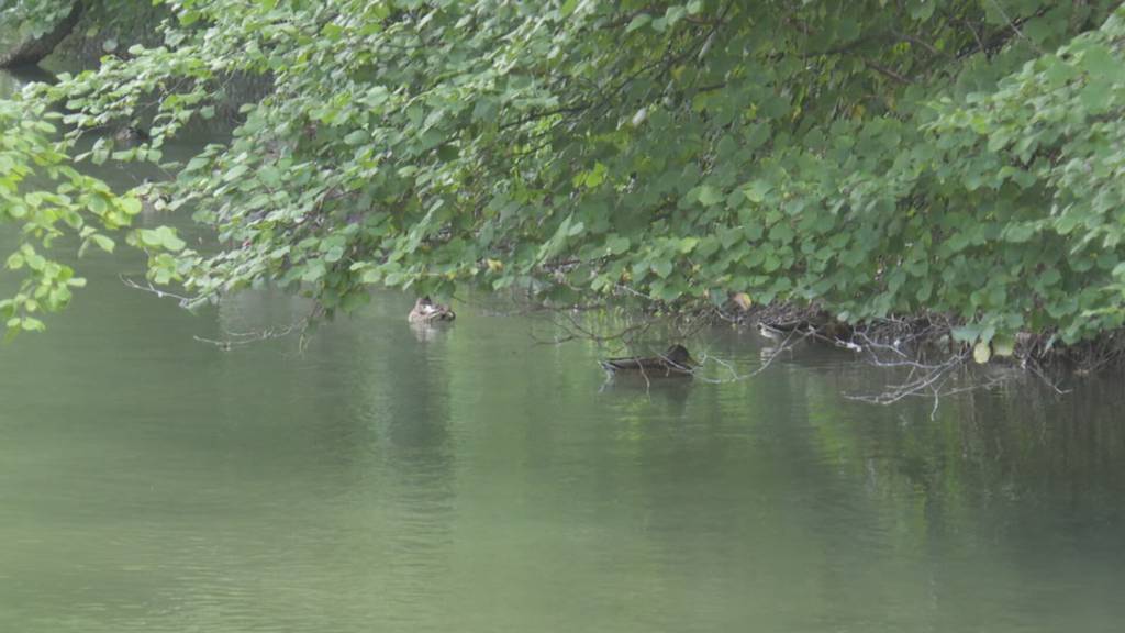 Besserer Hochwasserschutz am Sempachersee