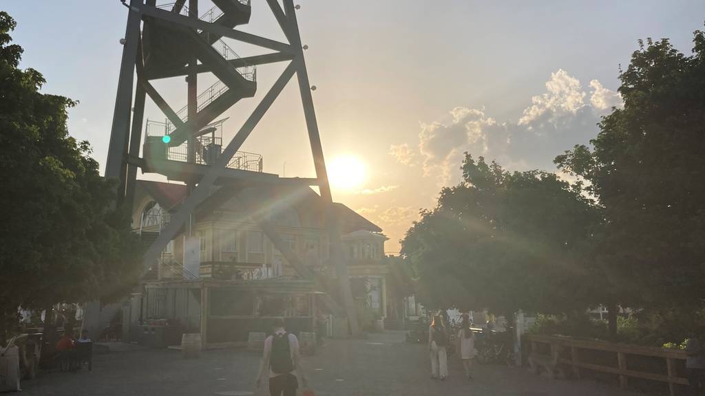 Oben auf dem Uetliberg kurz vor Sonnenuntergang