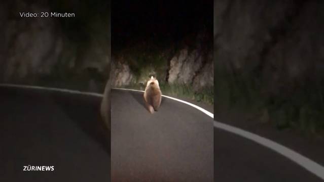 Jäger beobachtet Bär im Berner Oberland