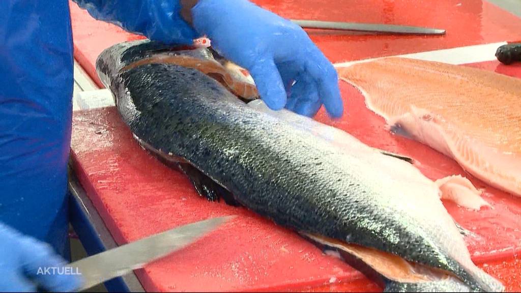 Fischhändler im Karfreitags-Stress