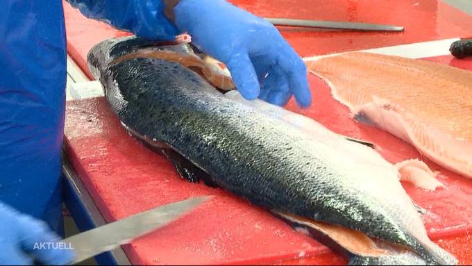 Fischhändler im Karfreitags-Stress