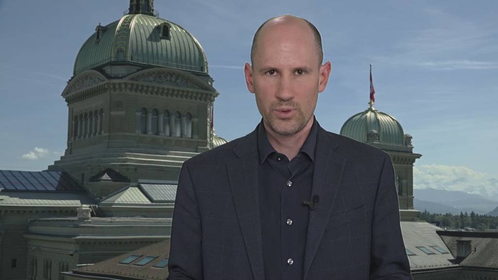 Angriff auf die SP? Grüne wollen auch in den Bundesrat