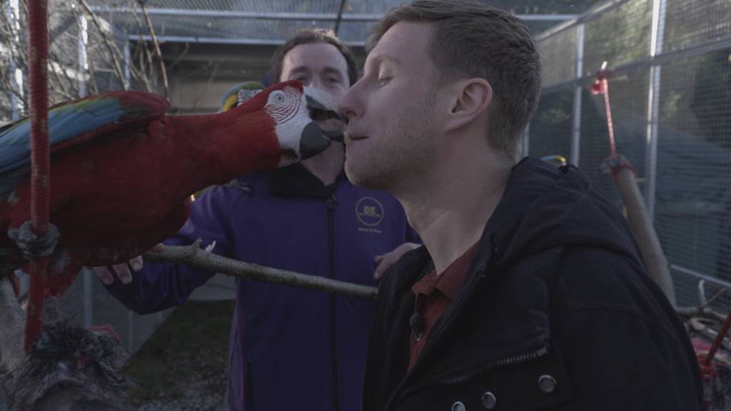 Immer auf der Bühne – immer unterwegs