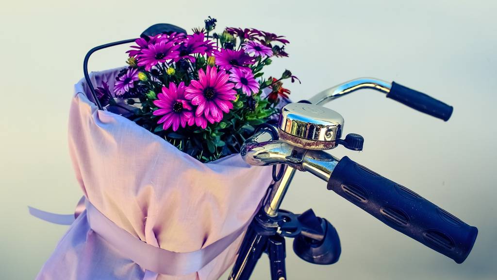 bicycle-2163466_1920