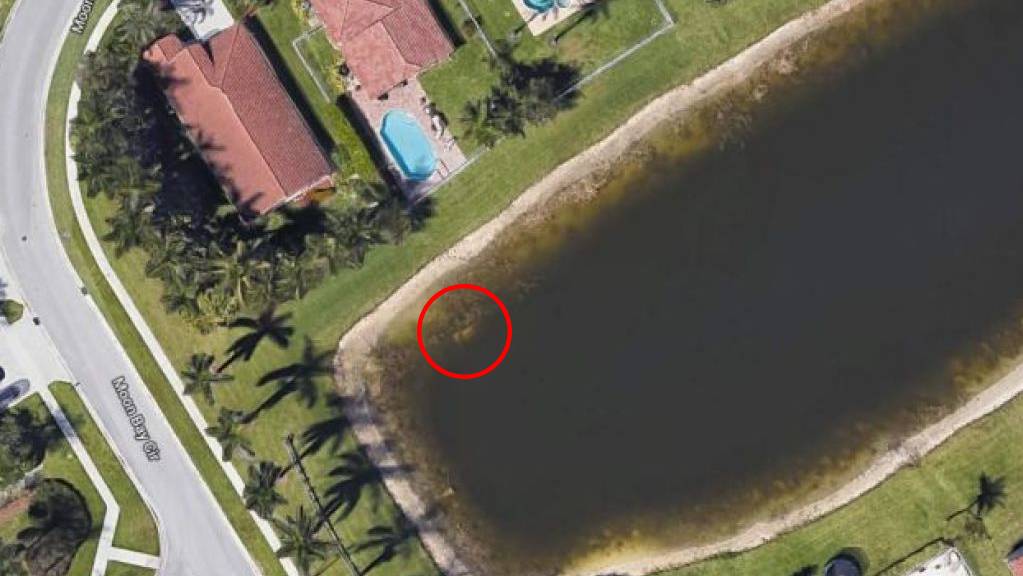 Ein ehemaliger Bewohner eines Wohnquartiers in Florida entdeckte das in einem kleinen See versunkene Auto auf dem Computerprogramm Google Earth.