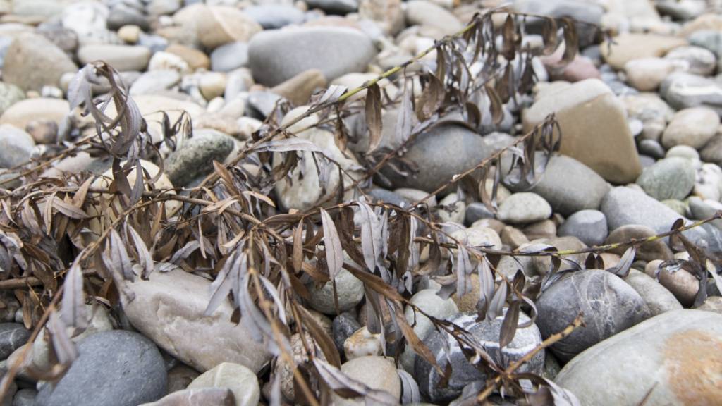 Restwasser kostet laut Studie weniger Strom als befürchtet