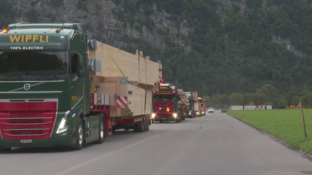 ESAF-Holzmuni Max wurde zerlegt und nach Erstfeld transportiert