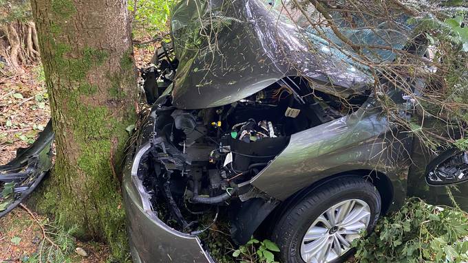 Medizinisches Problem: Autofahrer überquert Wiese und fährt gegen Baum