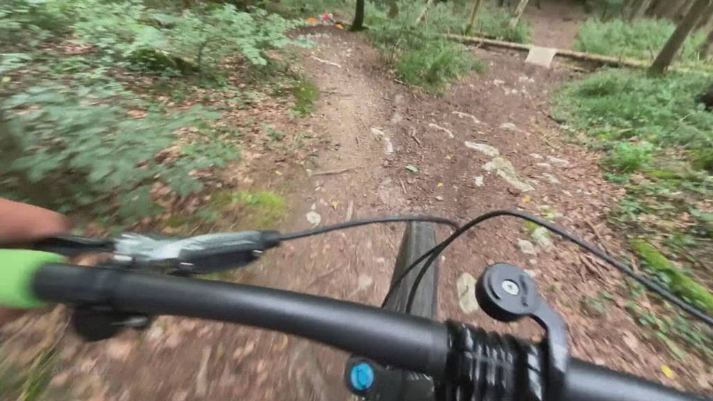 Neues Waldgesetz: Die Solothurner Regierung will das Biken auf allen Waldwegen doch nicht verbieten