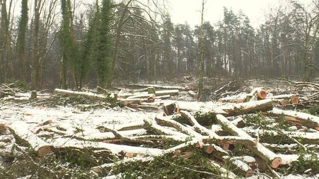 23 Millionen Franken für Hochwasserschutz und Renaturierung