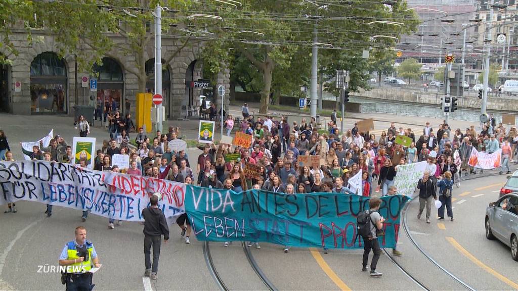 Zürich: Für den Amazonas auf die Strasse