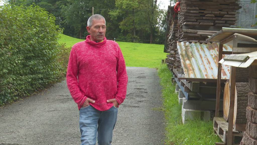 Unverschämt: Unbekannte werfen Hühner über Tierheimzaun