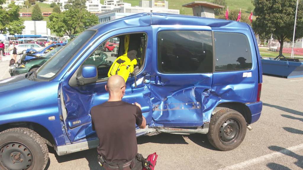 Rescuedays in Küssnacht am Rigi