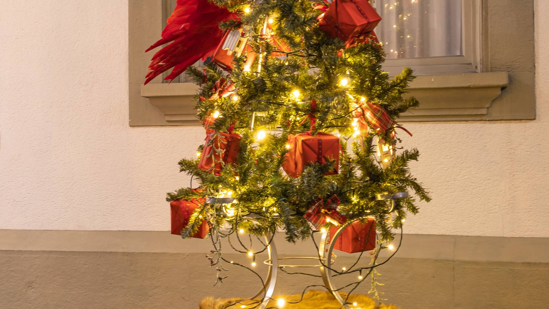 Christbaum-Aktion 2019: Der Baum von Fabilu