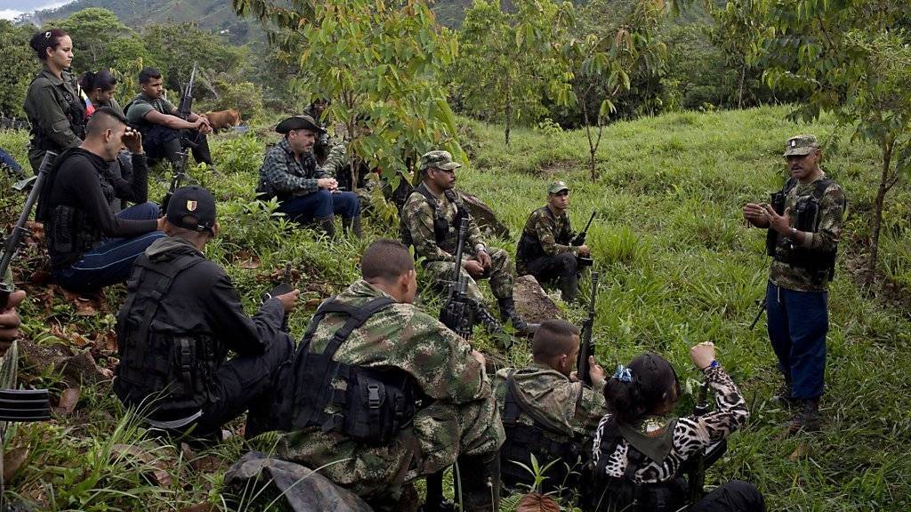 Eine Gruppe von FARC-Kämpfern berät sich: Die rund 8000 Mitglieder sollen im Rahmen des Waffenstillstands mit der Regierung ihre Waffen abgeben. (Archivbild)