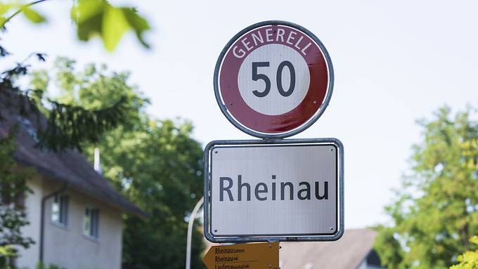 Südkoreaner besuchen Rheinau