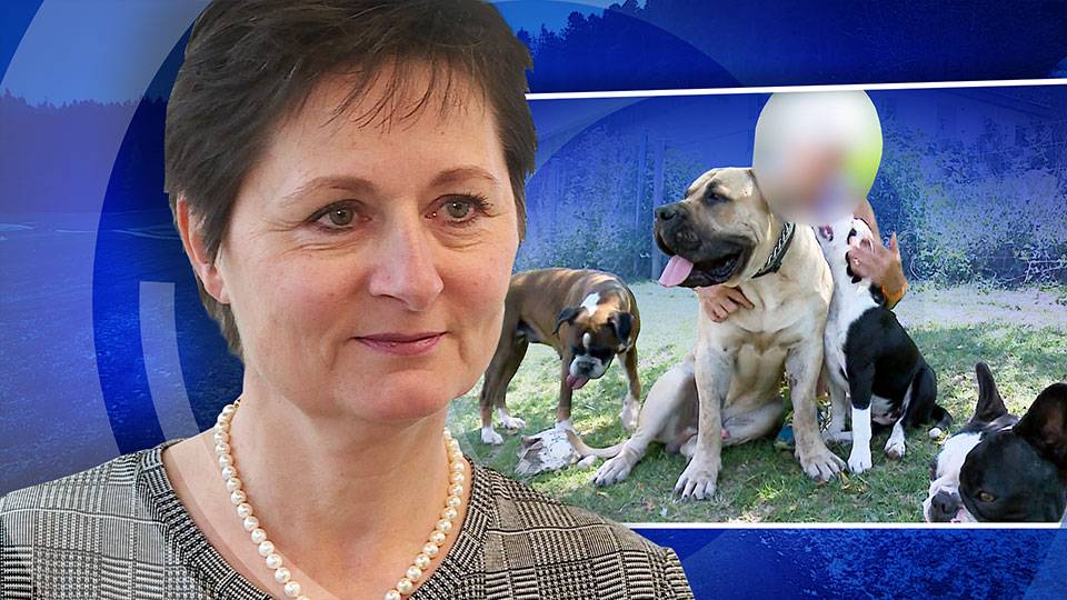 Hundeattacke