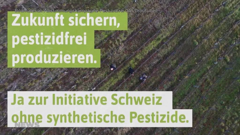 Pestizid-Initiative Ja oder Nein? Bauernverbände sind sich uneinig