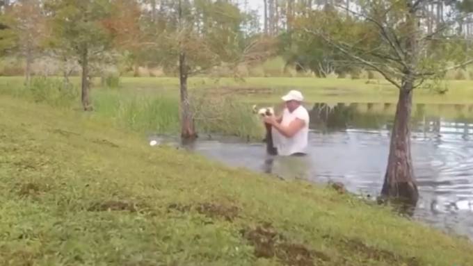 Mann rettet seinen Hund vor Alligator-Attacke