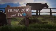 Olma-Highlights 2018