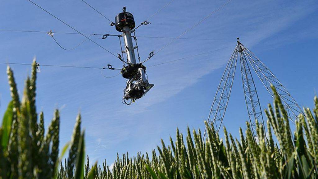 Zwischen vier 24 Meter hohen Masten hängt das Kernstück der Überwachungsanlage für das ETH-Agrarforschungsfeld: ein Sensorkopf mit Kameras, Laser-Messtechnik und Spektrometern.