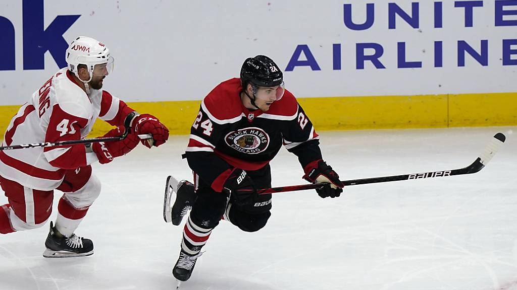Pius Suter ist mit seinen sieben Toren der treffsicherste NHL-Neuling in der laufenden Saison
