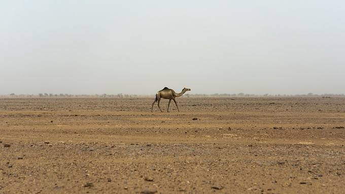 Wassermangel wegen Klimawandel