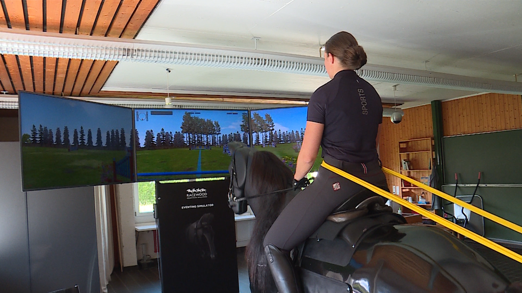 Reitsimulator 