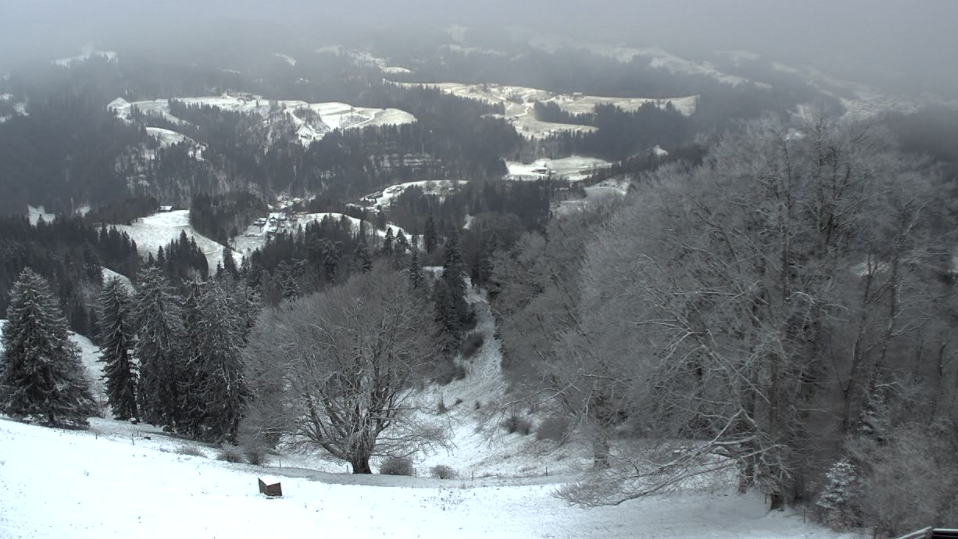 Schnee von gestern (und heute): Der Winter ist zurück in Zürich