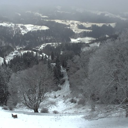 Schnee von gestern (und heute): Der Winter ist zurück in Zürich