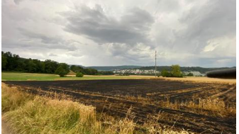 Weizenfeld abgebrannt Erlinsbach