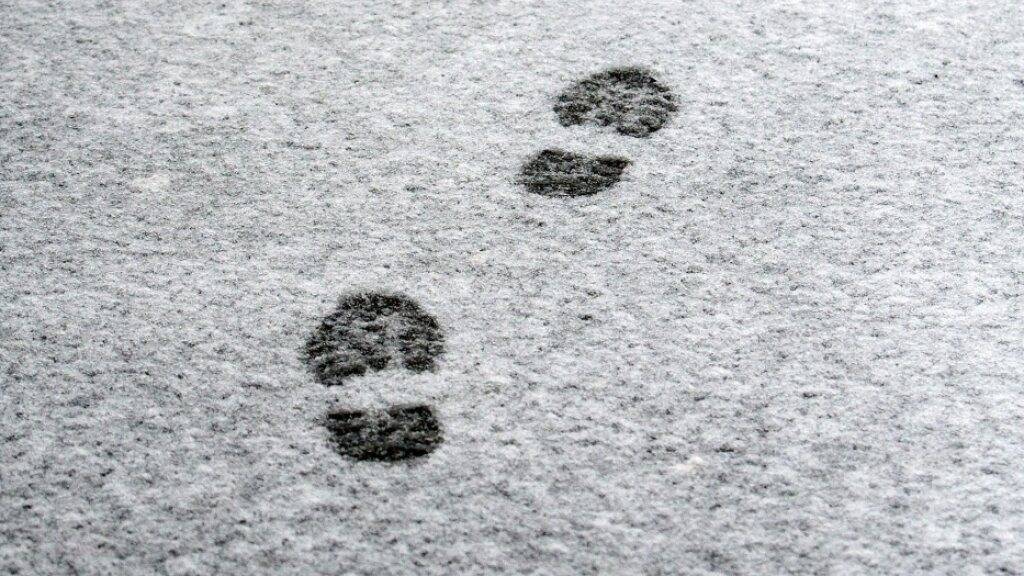 Mutmassliche Diebe hinterlassen in Altdorf Spuren im Schnee