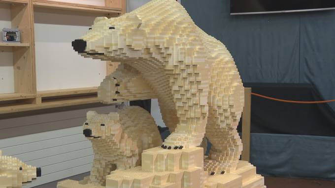 Für kleine und grosse Kinder: Lego und Playmobil begeistern in Erlebniswelt Toggenburg