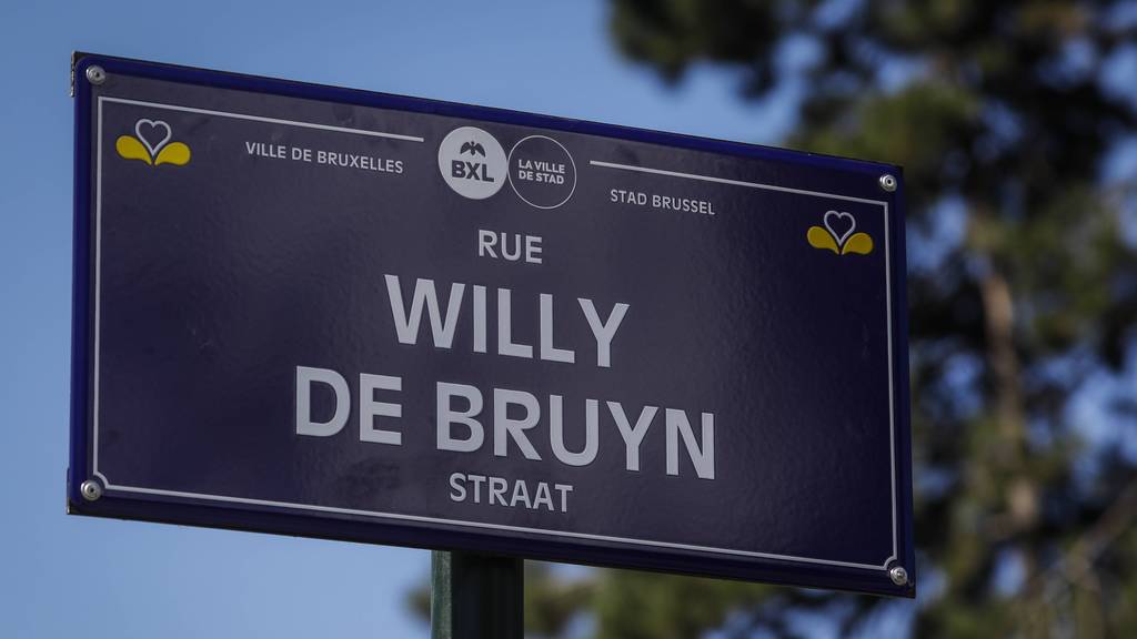 willy de bruyn