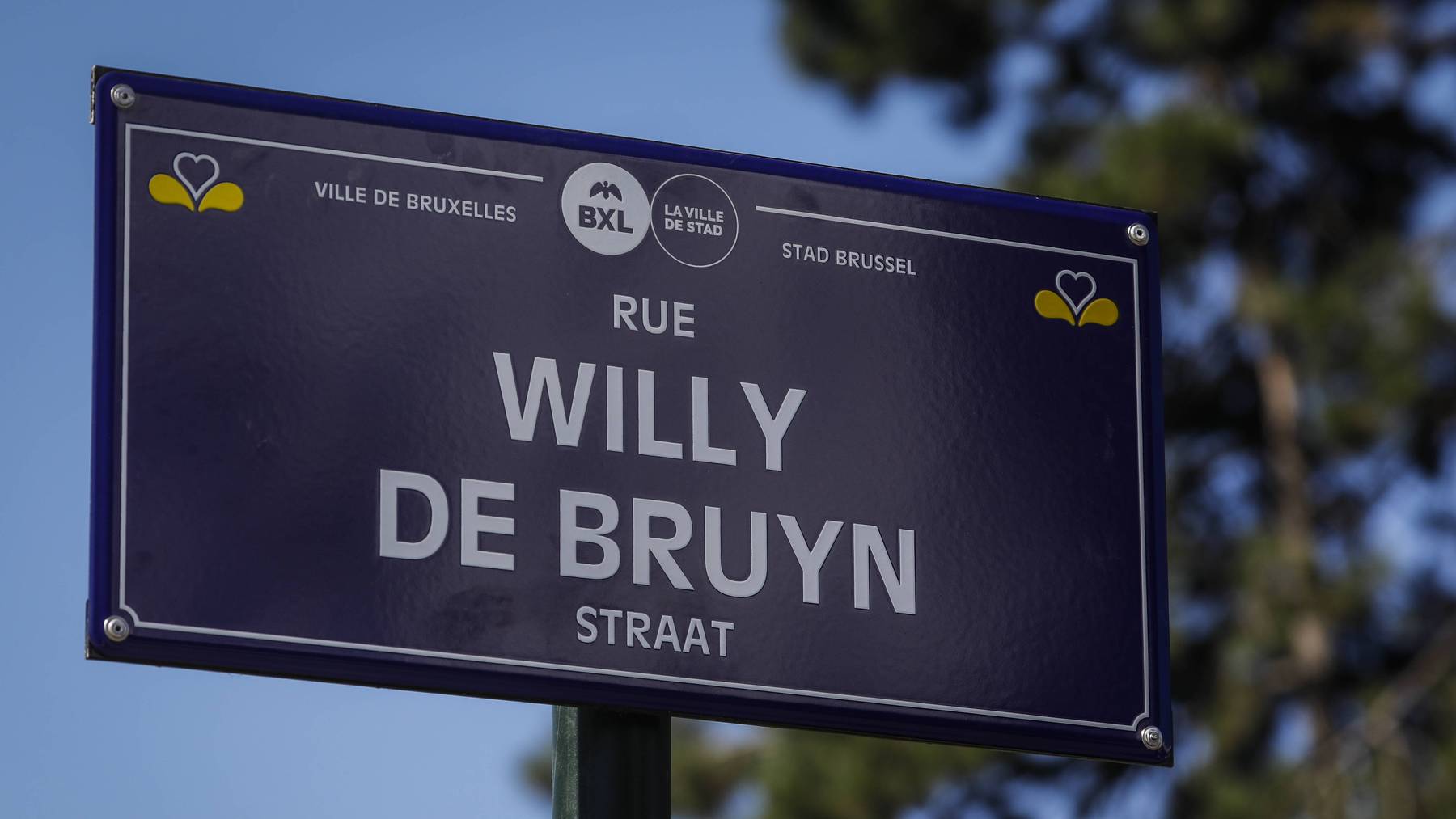 willy de bruyn