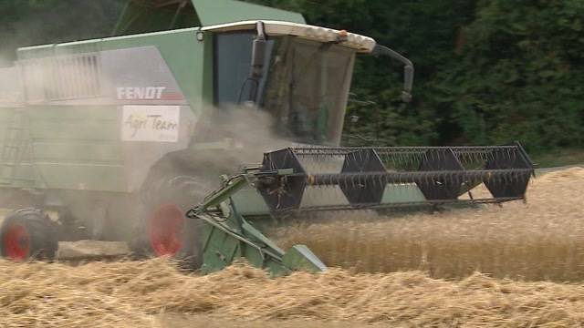 Weizenfeld in Niedergösgen abgebrannt