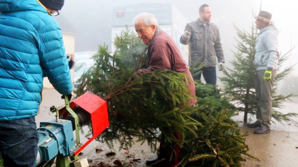 Die Tannenbäume werden zu Familien in der Region geliefert.