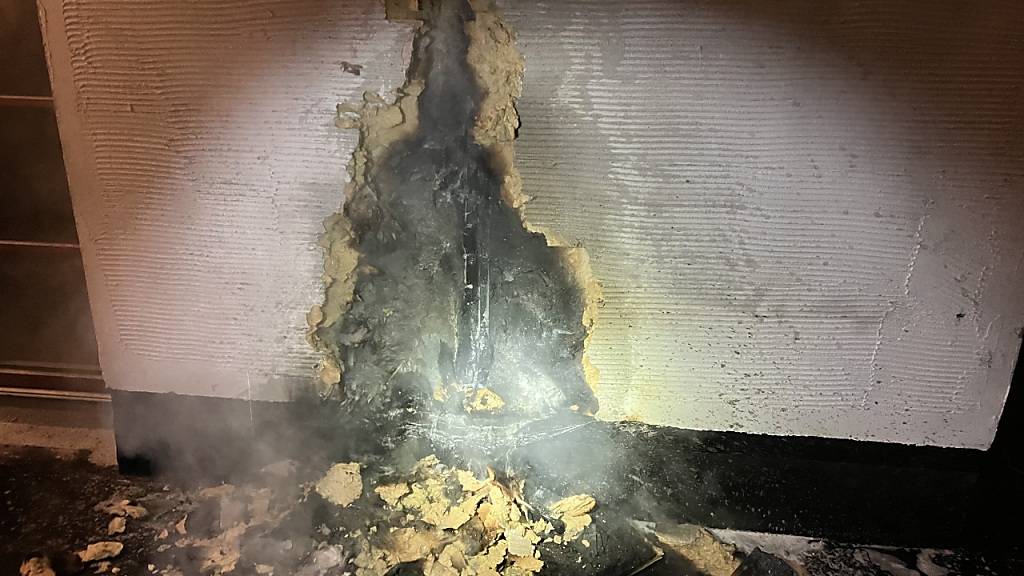 Der Brand wurde von einer Anwohnerin bemerkt, welche den Liegenschaftsbesitzer und die Feuerwehr alarmierte.